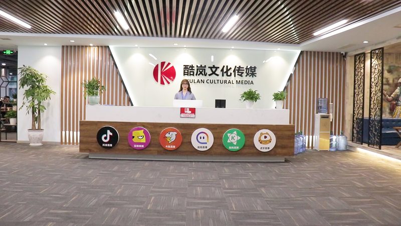 媒介投放代理公司排名：揭秘优质合作伙伴的选标