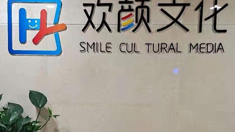 文化传媒营业执照办理步骤全解析**